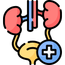 Urology